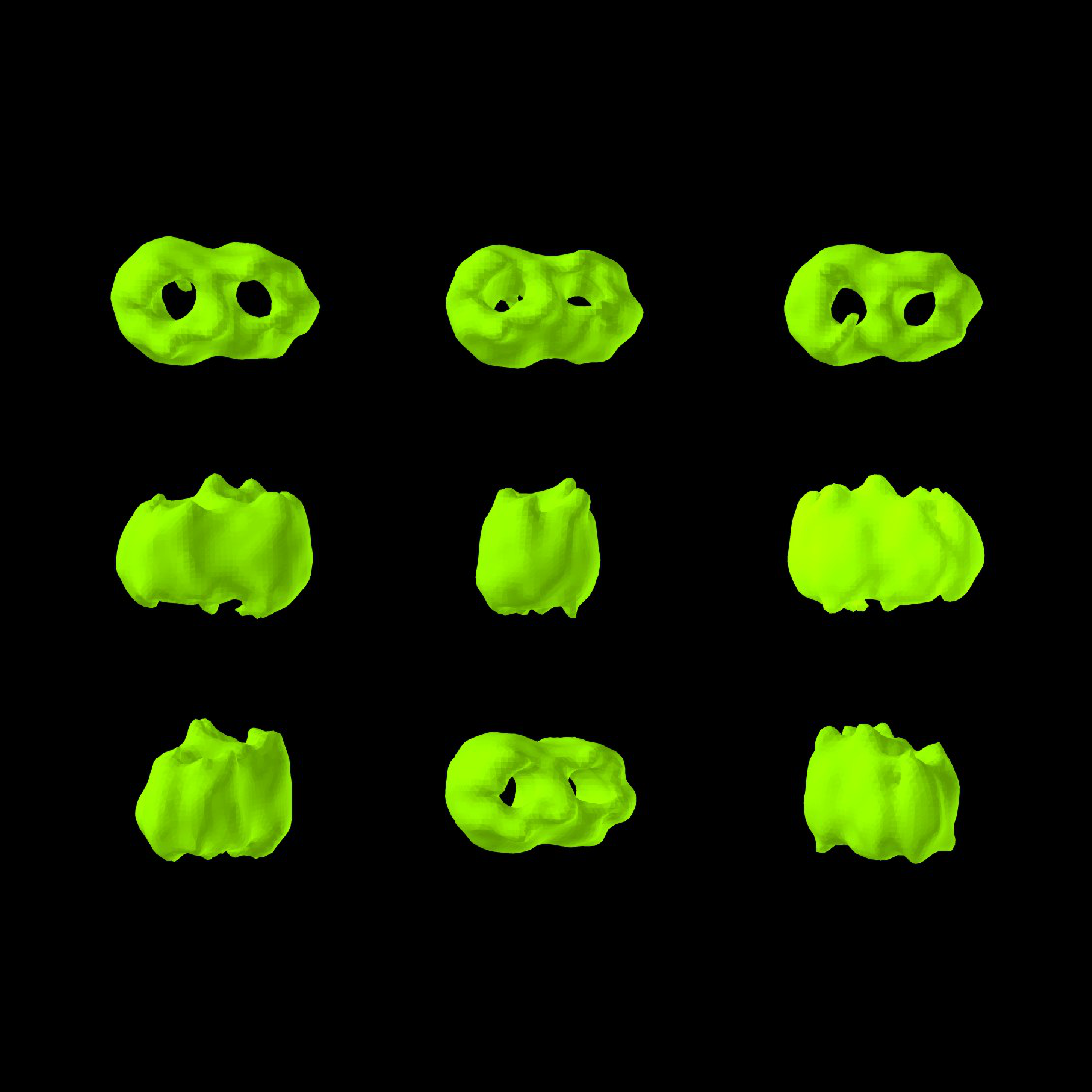 EM-Struktur der mitochondrialen Proteintranslokase TOM