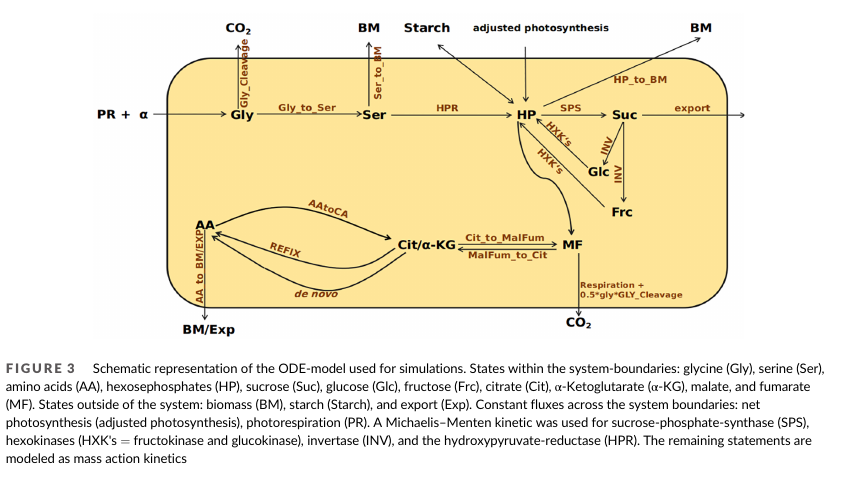 Acclimation to eCO2